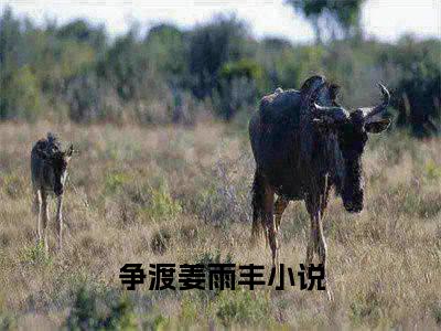 争渡姜雨丰全文免费阅读无弹窗大结局_(争渡姜雨丰小说)争渡姜雨丰无弹窗最新章节列表