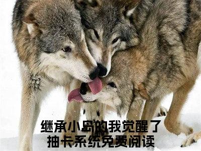 （继承小岛的我觉醒了抽卡系统）林清许全文免费阅读无弹窗大结局_林清许最新章节列表笔趣阁（继承小岛的我觉醒了抽卡系统）