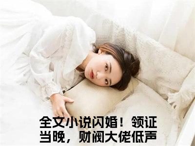 江晚陆辞年（闪婚！领证当晚，财阀大佬低声诱哄）精选好书-闪婚！领证当晚，财阀大佬低声诱哄无删减小说在线阅读（江晚陆辞年全文免费阅读）