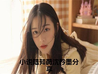 陆知薇沈矜墨（陆知薇沈矜墨）小说第20章第3节讲述的是什么？陆知薇沈矜墨小说在线阅读