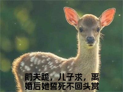 （前夫跪，儿子求，离婚后她誓死不回头）顾行川苏洛无弹窗免费阅读前夫跪，儿子求，离婚后她誓死不回头大结局无删阅读_笔趣阁