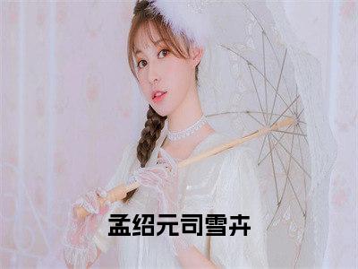 雨过天晴还有光（孟绍元司雪卉）全文免费阅读无弹窗大结局_（雨过天晴还有光阅读全文大结局）孟绍元司雪卉最新章节列表