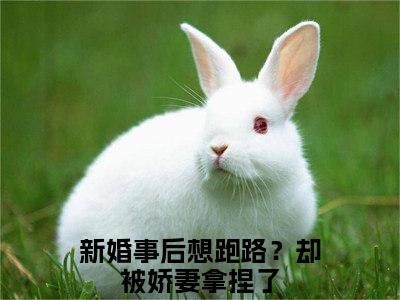 江慕柠秦牧野（新婚事后想跑路？却被娇妻拿捏了）最火小说全文-（新婚事后想跑路？却被娇妻拿捏了）江慕柠秦牧野小说完整版免费阅读