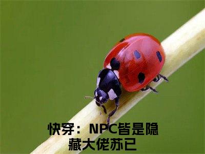 快穿：NPC皆是隐藏大佬苏已（快穿：NPC皆是隐藏大佬苏已）最新章节阅读-（快穿：NPC皆是隐藏大佬苏已）免费阅读大结局无弹窗