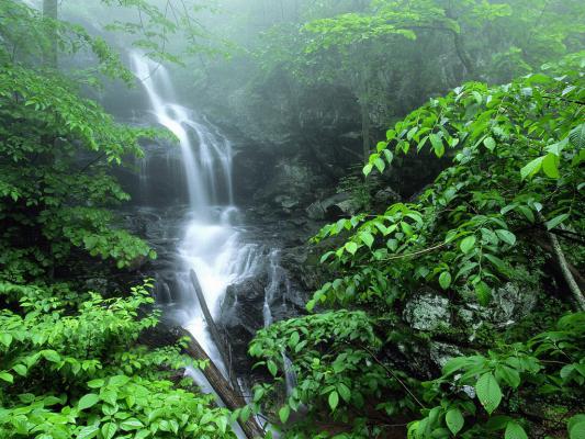 穿越八零沈清芙小说励志俞修诚沈建刚完整版阅读