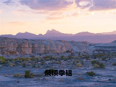 桑顷季韫小说最新章节在线阅读_桑顷季韫在线阅读