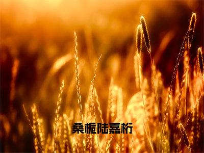 分享一本言情小说桑栀陆嘉桁-百分爆评热文陆嘉桁桑栀