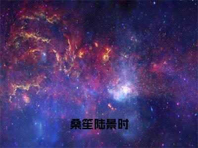 （陆景时桑笙）最新小说 桑笙陆景时免费阅读