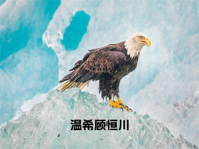 温希顾恒川（顾恒川温希）全文免费阅读无弹窗-顾恒川温希小说完整版在线阅读