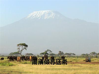 周清倾苏廷希（苏廷希周清倾）小说全文免费阅读无弹窗_（苏廷希周清倾）周清倾苏廷希小说全文免费阅读最新章节列表笔趣阁（苏廷希周清倾）