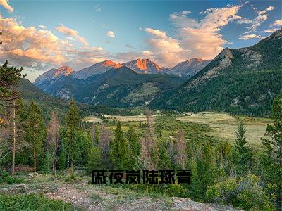 戚夜岚陆琢青(戚夜岚陆琢青)全文免费阅读大结局_戚夜岚陆琢青(戚夜岚陆琢青)免费在线阅读无删减_笔趣阁（戚夜岚陆琢青）