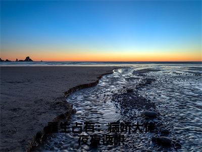 重生占有：病娇大佬夜夜诱哄（傅夜辞秦酒）免费小说-傅夜辞秦酒全文阅读目录