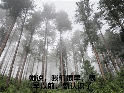 她说，我们很早，很早以前，就认识了（姜晏庭傅小小）全文完整版免费阅读-主角叫姜晏庭傅小小的小说她说，我们很早，很早以前，就认识了