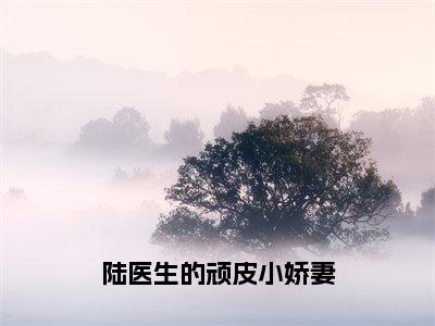 沈荔陆容衍全文免费阅读大结局-陆医生的顽皮小娇妻最新章节阅读