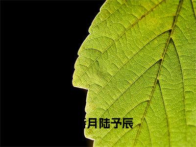 林娇月陆予辰(陆予辰林娇月)全文免费阅读无弹窗大结局_(陆予辰林娇月)小说免费阅读最新章节列表