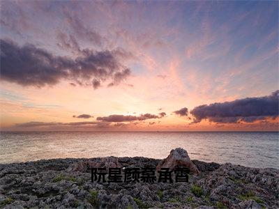 阮星颜慕承霄（慕承霄阮星颜小说）小说免费最新章节列表_阮星颜慕承霄笔趣阁（慕承霄阮星颜小说）