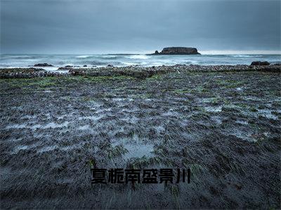 夏栀南盛景川(盛景川夏栀南)抖音热推小说全集无删减,盛景川夏栀南小说在线免费阅读大结局