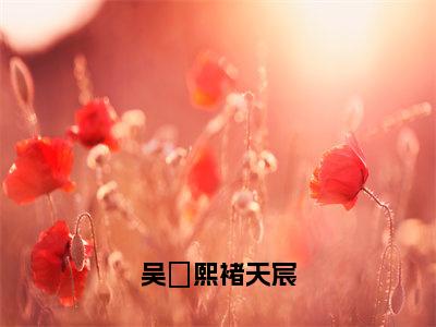 吴婼熙褚天宸（褚天宸吴婼熙）新上热文小说讲的是什么-小说吴婼熙褚天宸（褚天宸吴婼熙）全文免费阅读