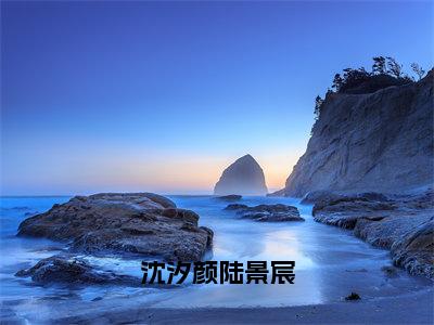 沈汐颜陆景宸全文免费阅读_（沈汐颜陆景宸）陆景宸沈汐颜最新小说_笔趣阁