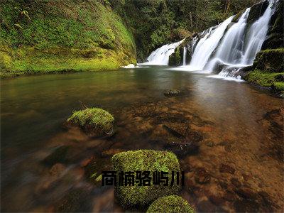 骆屿川商楠（商楠骆屿川）全文免费阅读无弹窗大结局_骆屿川商楠完整章节阅读