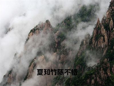 夏知竹陈不恪（陈不恪夏知竹）免费阅读-小说（夏知竹陈不恪）陈不恪夏知竹全文阅读