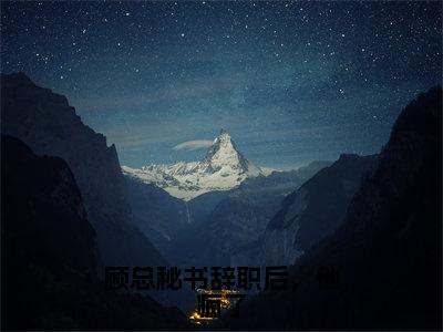 顾总秘书辞职后，他疯了小说叶星辞顾凛寒-顾总秘书辞职后，他疯了小说在哪里可以看