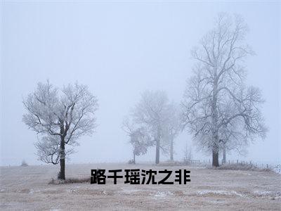 路千瑶沈之非全文免费阅读无弹窗大结局_ (沈之非路千瑶)路千瑶沈之非在线阅读无弹窗