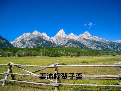 姜沐柠贺子奕（贺子奕姜沐柠）全文免费阅读无弹窗大结局_（贺子奕姜沐柠全文在线阅读）姜沐柠贺子奕最新章节列表_笔趣阁（贺子奕姜沐柠）