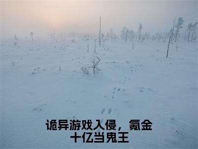 林恩小说全文免费阅读（诡异游戏入侵，氪金十亿当鬼王）全文免费阅读无弹窗_林恩小说全文免费阅读_笔趣阁（诡异游戏入侵，氪金十亿当鬼王）