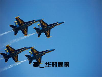 姜玥华邢宸枫无广告小说免费阅读，姜玥华邢宸枫邢宸枫姜玥华完结小说在线阅读