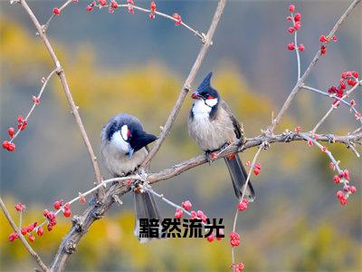 黯然流光（唐景深颜茜）精选热门小说-小说（黯然流光）唐景深颜茜全文免费阅读最新章节列表