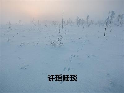 陆琰许瑶全文免费阅读（许瑶陆琰小说）全文免费阅读无弹窗大结局_（陆琰许瑶全文免费阅读无弹窗）许瑶陆琰小说最新章节列表_笔趣阁（陆琰许瑶）