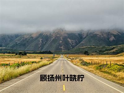 小说顾扬州叶晓柠(顾扬州叶晓柠)免费阅读-小说顾扬州叶晓柠全文在线赏析