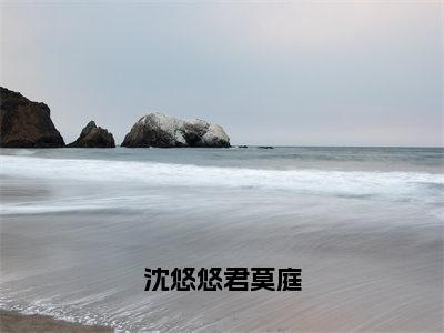 沈悠悠君莫庭全网首发最新小说-沈悠悠君莫庭全文在线免费阅读