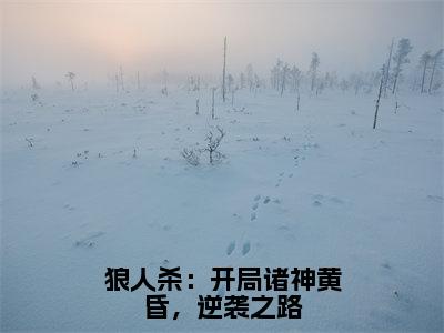 狼人杀：开局诸神黄昏，逆袭之路（顾流枫）全文免费阅读无弹窗大结局_（顾流枫）章节列表_笔趣阁