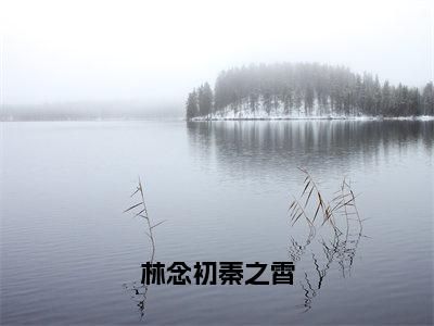 林念初秦之霄(秦之霄林念初)免费全文阅读小说_（林念初秦之霄）秦之霄林念初最新章节列表-笔趣阁（林念初秦之霄）