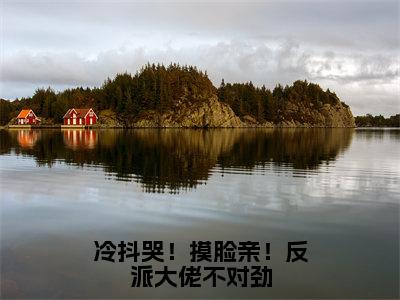 冷抖哭！摸脸亲！反派大佬不对劲（曲忆忆薄司寒）全文免费阅读无弹窗大结局_冷抖哭！摸脸亲！反派大佬不对劲在线阅读笔趣阁(曲忆忆薄司寒）