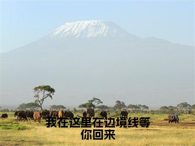 姜星梨（我在这里在边境线等你回来）全文免费阅读无弹窗大结局_（我在这里在边境线等你回来无弹窗）_笔趣阁