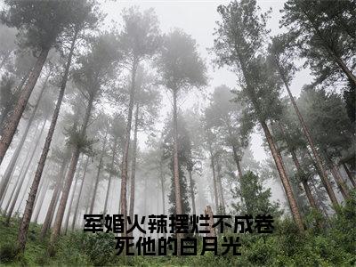 军婚火辣摆烂不成卷死他的白月光(苏妍)全文免费阅读无弹窗大结局_(苏妍)小说免费阅读无弹窗最新章节列表_