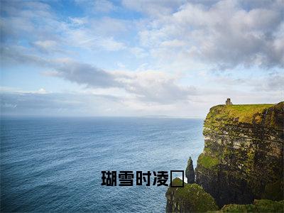 瑚雪时凌沨小说全文免费阅读 （凌沨瑚雪时）免费阅读全文免费阅读无弹窗大结局