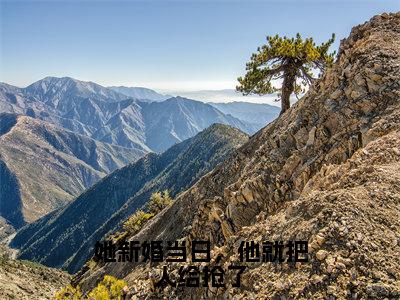 她新婚当日，他就把人给抢了（裴山姜轻雪）热门小说盘点在线阅读-全网推荐小说裴山姜轻雪全文