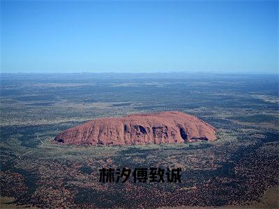 林汐傅致诚小说全文免费阅读_林汐傅致诚（林汐傅致诚）最新章节列表笔趣阁