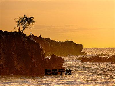 陆晏宁枝（宁枝陆晏）笔趣阁免费小说全文完整版-宁枝陆晏无弹窗免费阅读