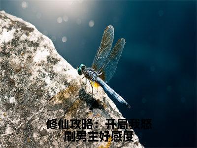 颜姝小说免费（修仙攻略：开局我怒刷男主好感度免费阅读）修仙攻略：开局我怒刷男主好感度全文免费阅读无弹窗大结局_颜姝小说最新章节列表