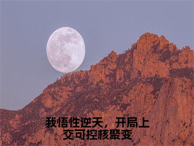 我悟性逆天，开局上交可控核聚变小说（陆峰）全文免费阅读无弹窗大结局_陆峰最新章节列表（陆峰）