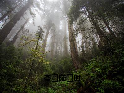 《岑椀陆琤时》无弹窗大结局-（陆琤时岑椀）无弹窗阅读最新章节列表_笔趣阁