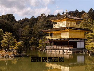 楚朝砚萧云岚免费小说（萧云岚楚朝砚）全本免费阅读-楚朝砚萧云岚最新章节列表