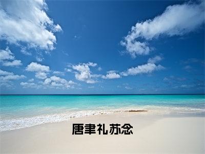 (热推新书)唐聿礼苏念全文免费阅读无弹窗大结局-热推苏念唐聿礼无弹窗阅读唐聿礼苏念在线阅读