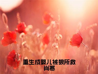 小说《重生成婴儿被狼所救肖寒》全文免费阅读无弹窗-苏月肖寒小说全文在线赏析