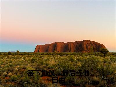 签下协议，最后还他自由（顾凌霄苏轻婳）免费最新小说_顾凌霄苏轻婳（签下协议，最后还他自由）免费版今日已更新